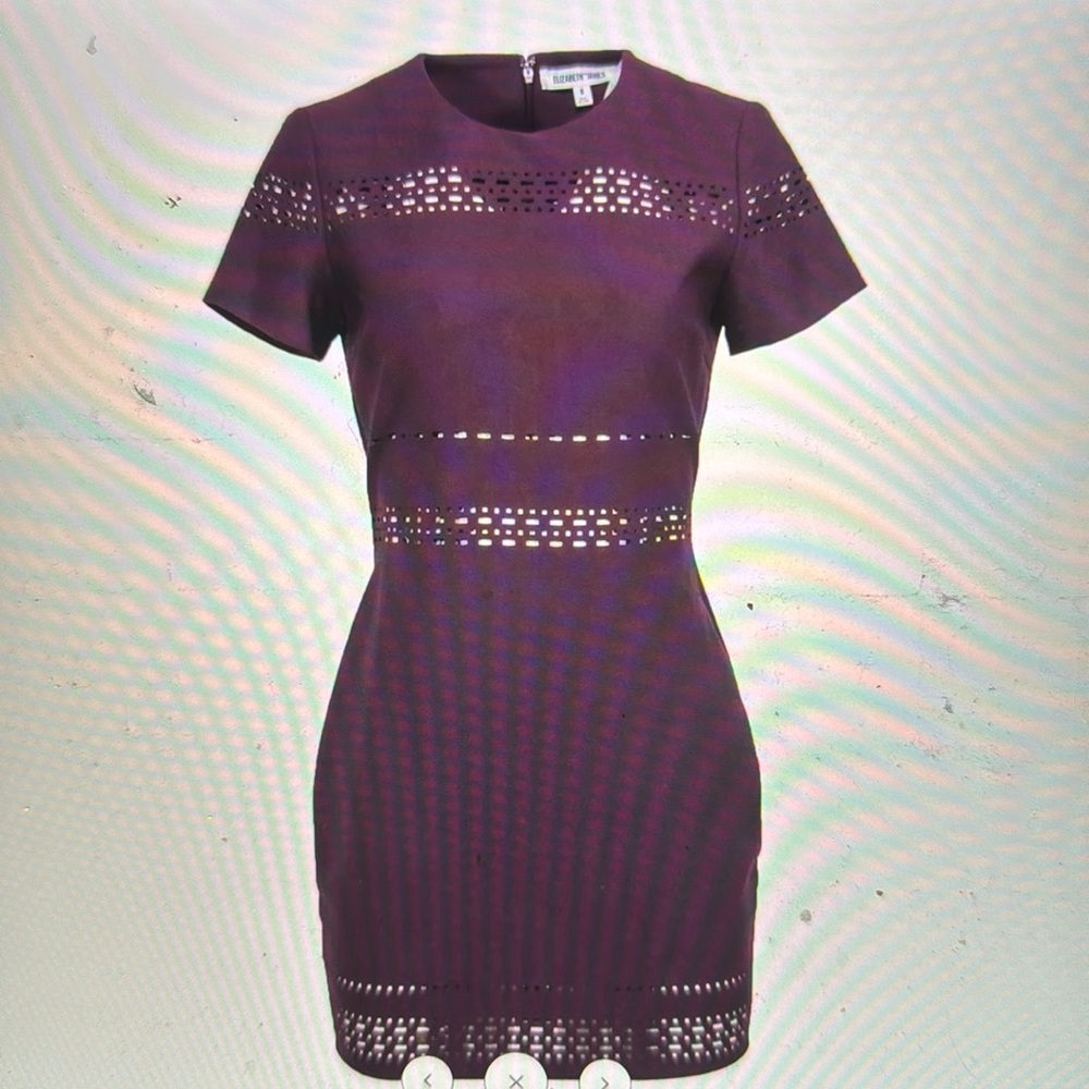 Elizabeth and James Ari short sleeve fitted dress, plum